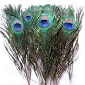 Pávatoll - GREEN/BLUE